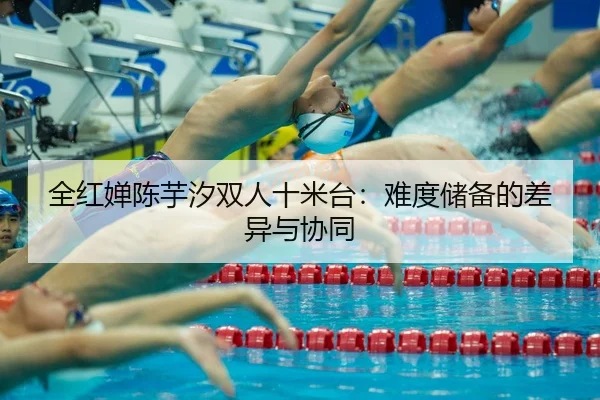 全红婵陈芋汐双人十米台：难度储备的差异与协同