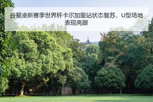 gu-ai-ling-xin-sai-ji-shi-jie-bei-ka-er-jia-li-zhan-zhuang-tai-fu-su-xing-chang-di-biao-xian-liang-yan-2-545.jpg