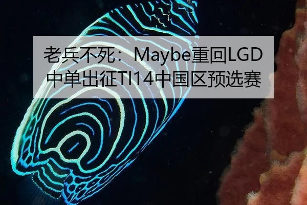 老兵不死：Maybe重回LGD中单出征TI14中国区预选赛