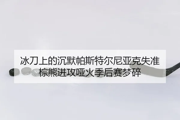 bing-dao-shang-de-chen-mo-pa-si-te-er-ni-ya-ke-shi-zhun-zong-xiong-jin-gong-ya-huo-ji-hou-sai-meng-sui-2-580.jpg